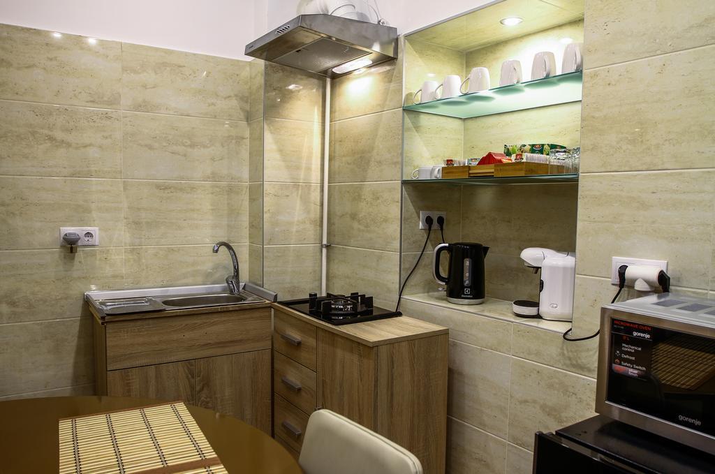 Historical Studio Apartment Sibiu Exterior photo